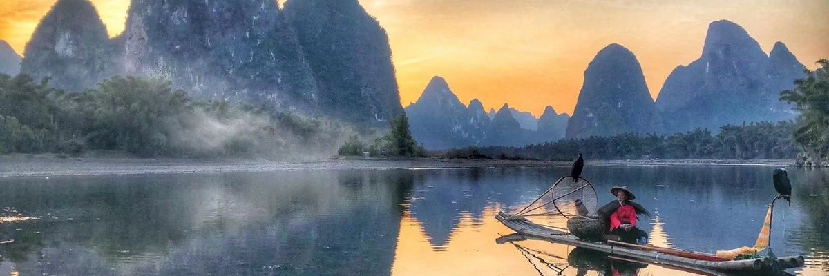 金哥 banner