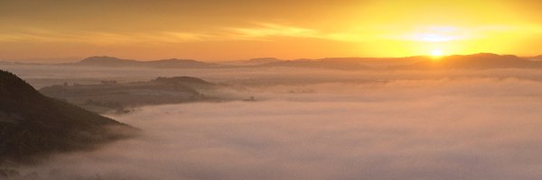 NatureScot Profile Banner