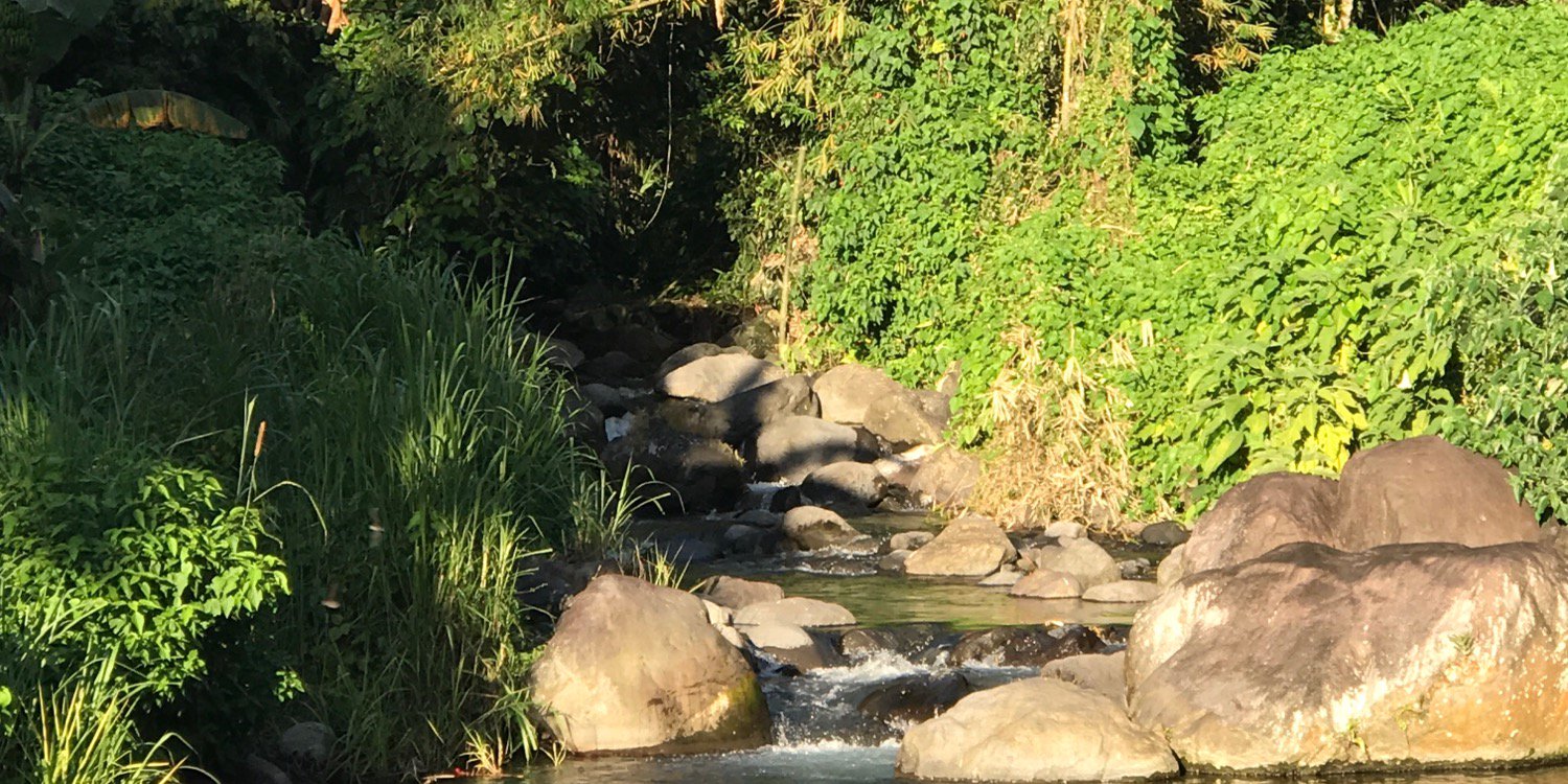tiniewiny's profile banner image