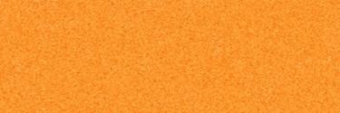 Saltilo❓ banner