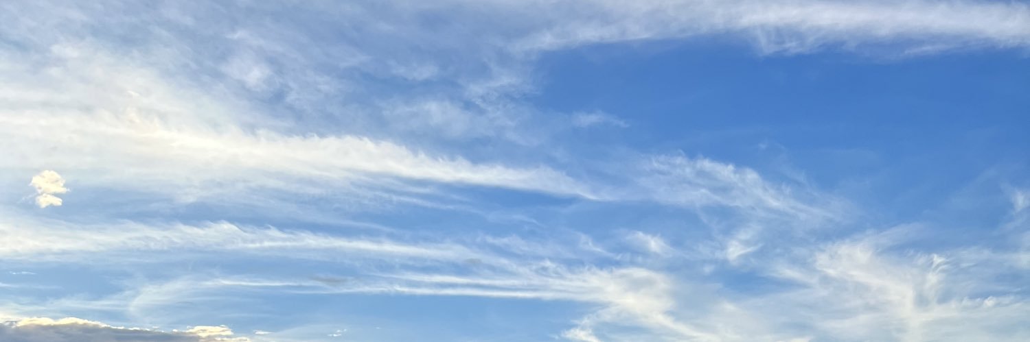 Merlisa_B's profile banner image