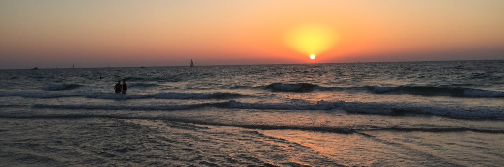 Magnus Hellgren (personal account) banner