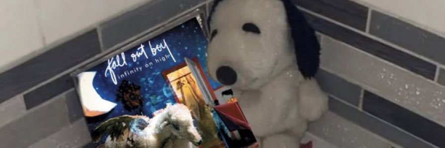 papa kitten banner
