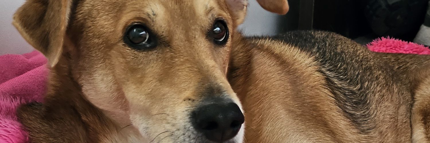 MartinezTog's profile banner image