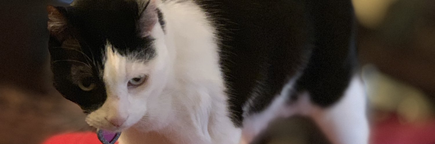 buzzsaw24's profile banner image