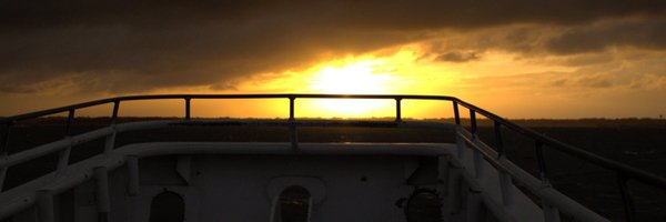 Vzzrxs Profile Banner