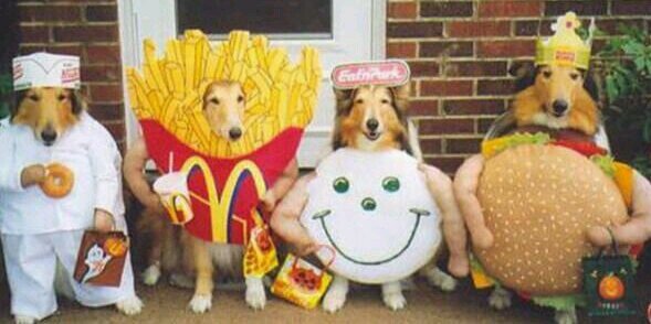 Jackie Zebrowski banner