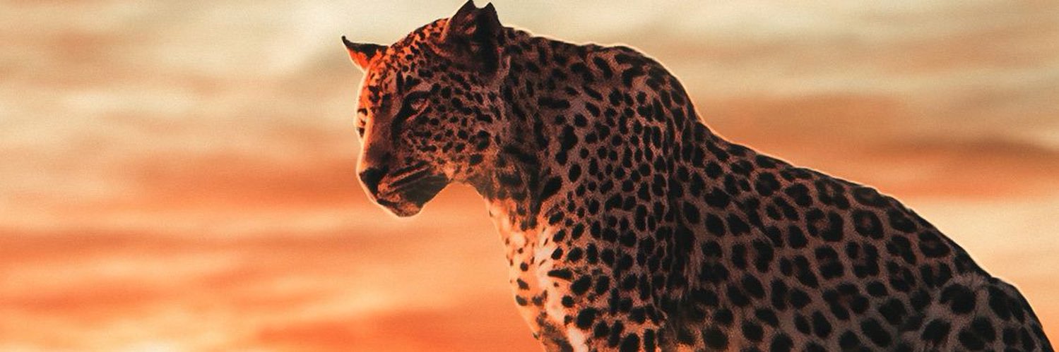 جـميـل الحـربي banner