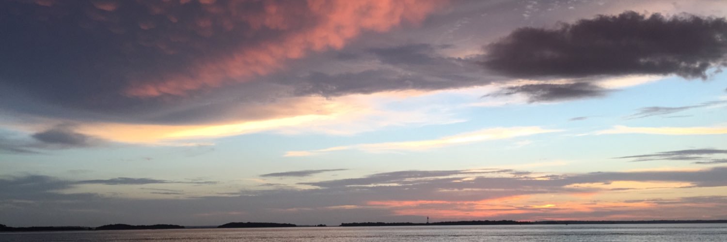 suhayscarson's profile banner image