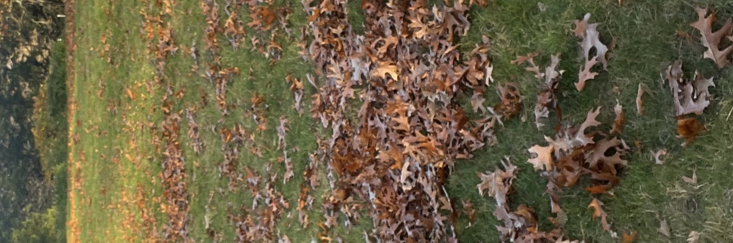 Michael Trovato banner