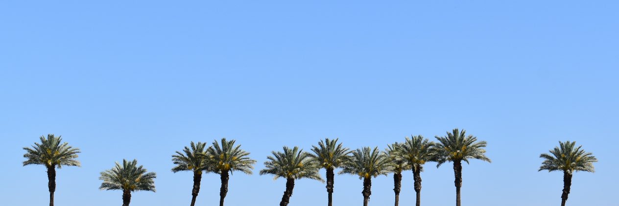 georgia l banner