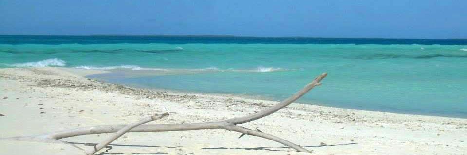 Santiago Berioli ℹ banner