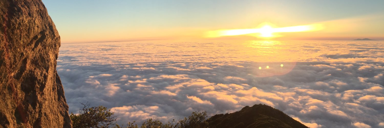 totesvivs's profile banner image