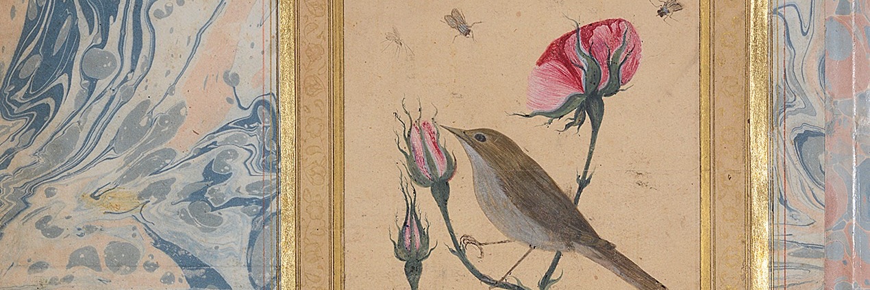 lenkfahte's profile banner image