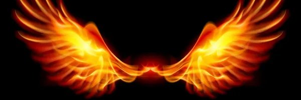 Braised six 🔆 banner