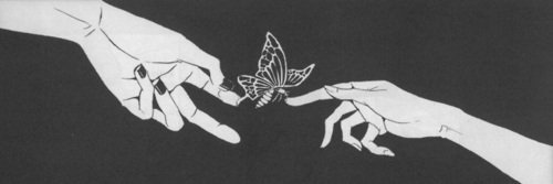 A Shitty Bunny 🐰 banner