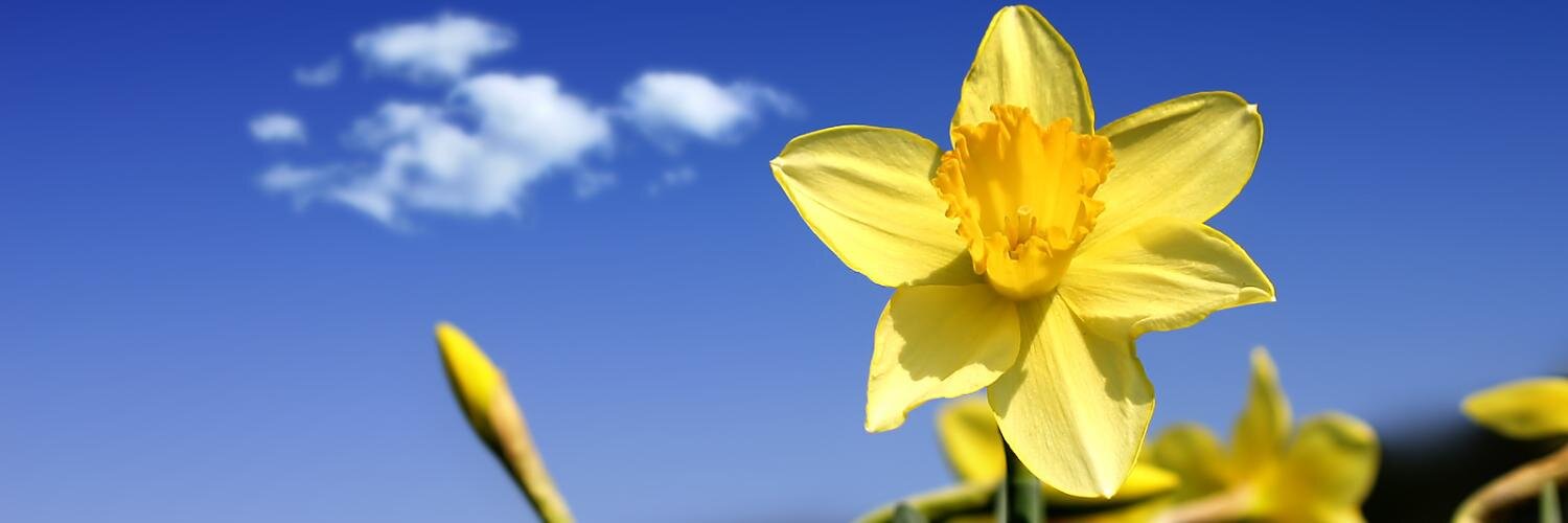 CFUWBrantford's profile banner image