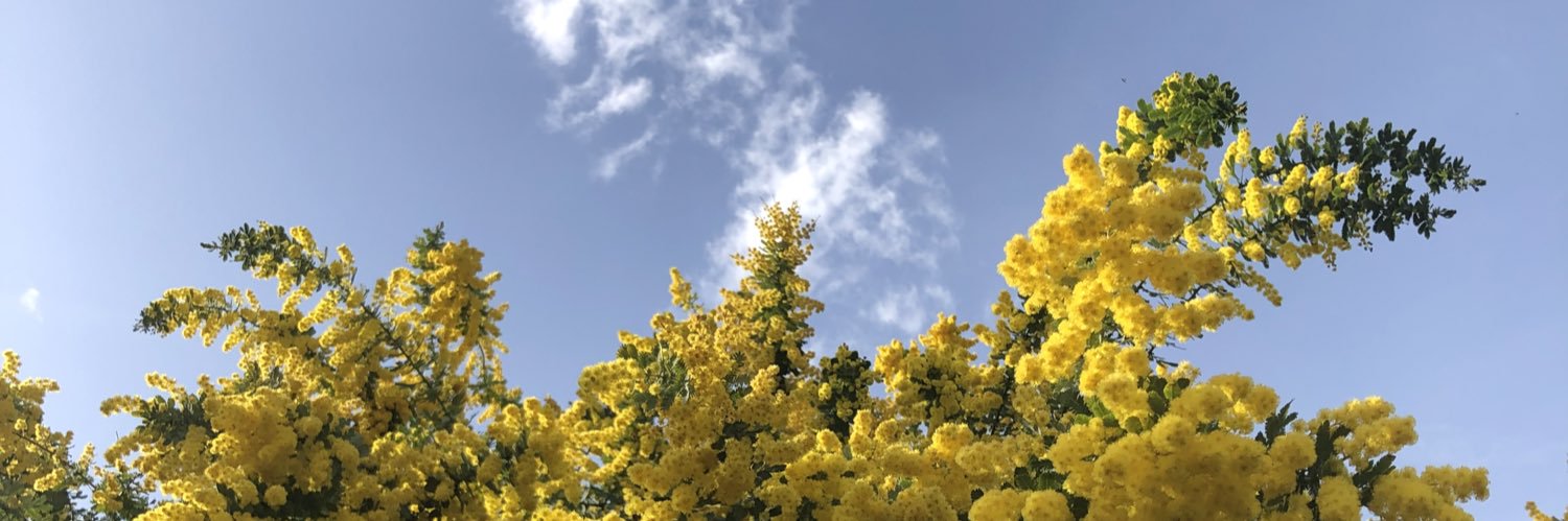 eriyxxx's profile banner image