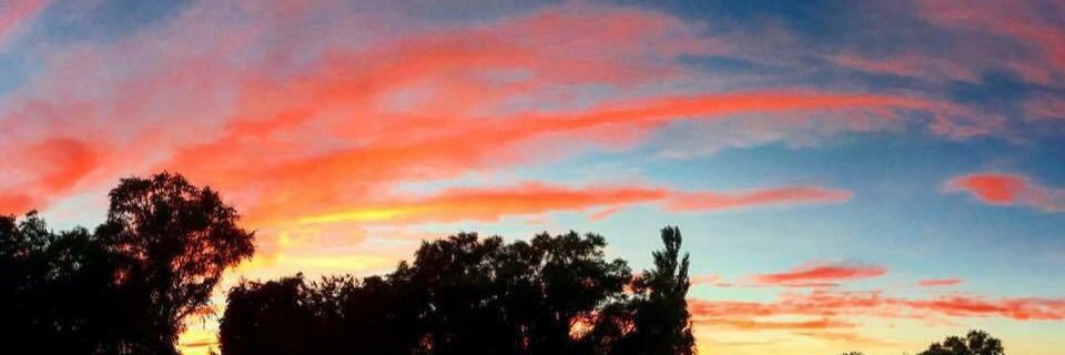 NPlotz's profile banner image