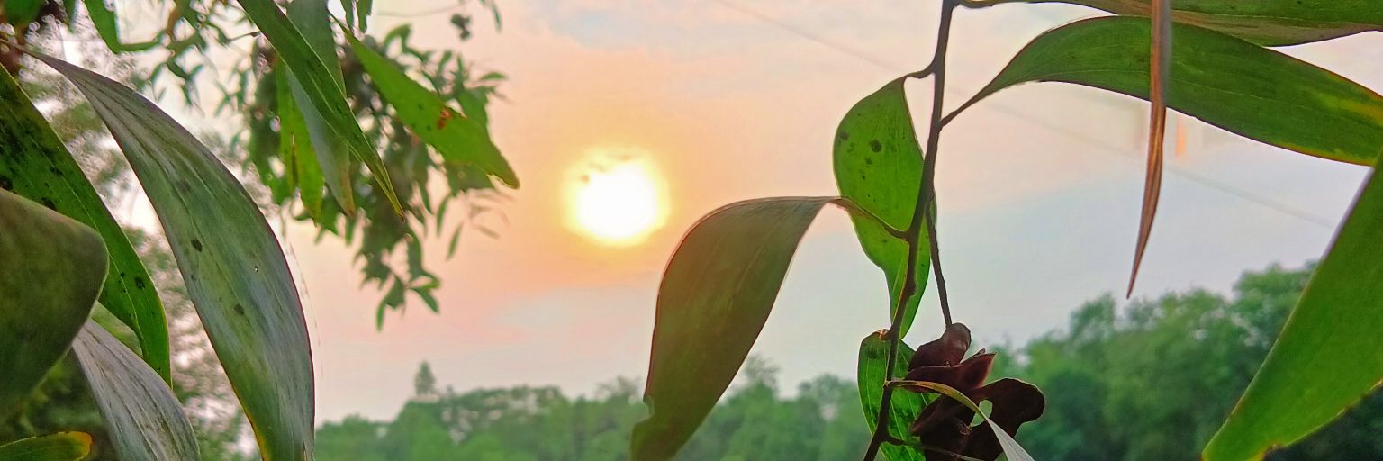 Mahedi01780's profile banner image
