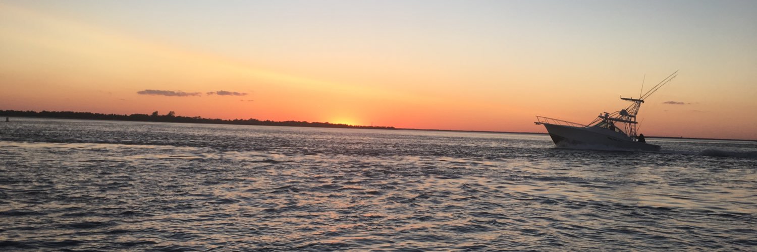 taylor_rossi_'s profile banner image