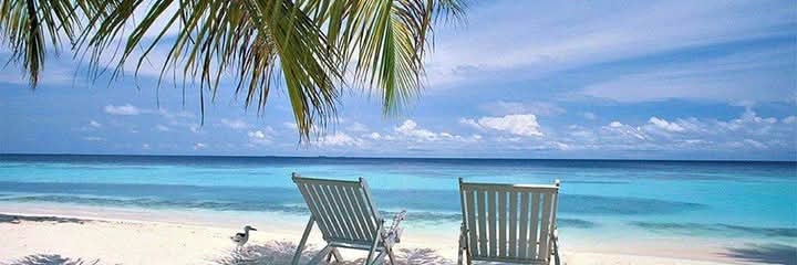 🌺Sandra🌺 ✝️🇺🇸💋👠🌅🌴🦩🕶️🩵🐱🐶🐎🐅💜's banner