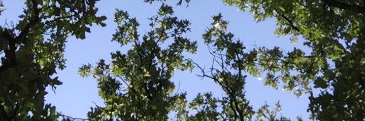 emilybrown_34's profile banner image