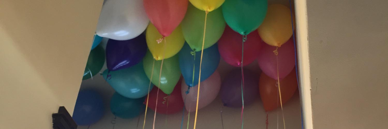 Megan Leafblad banner