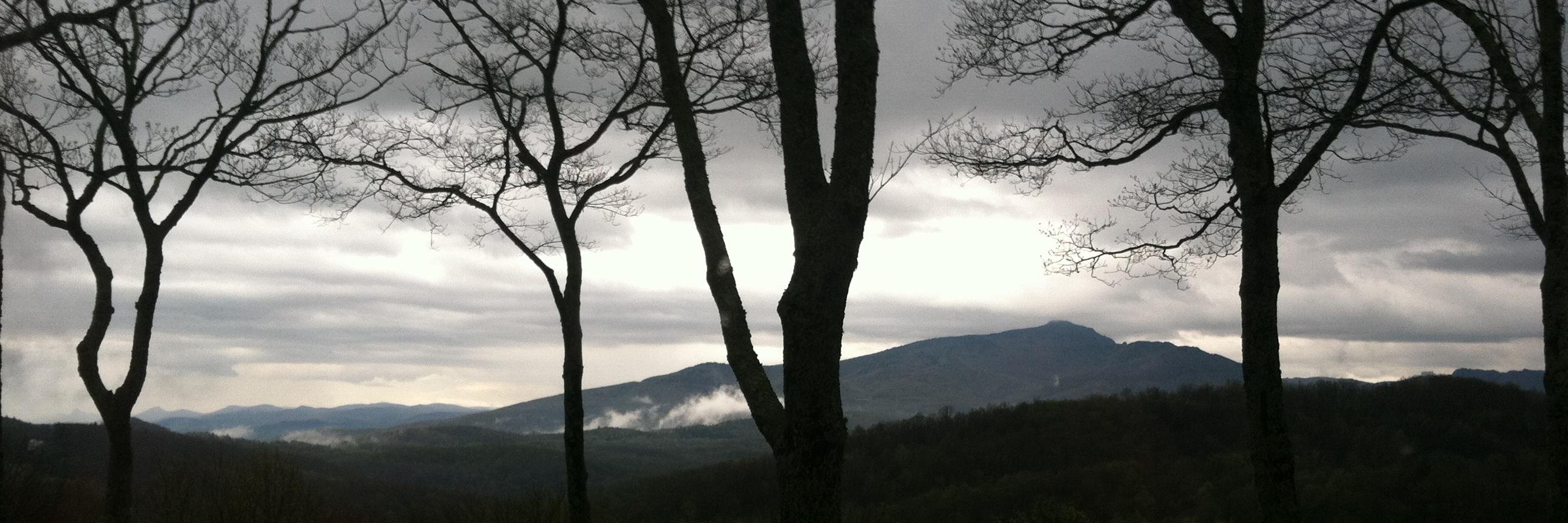 Deb Haynes Swider banner