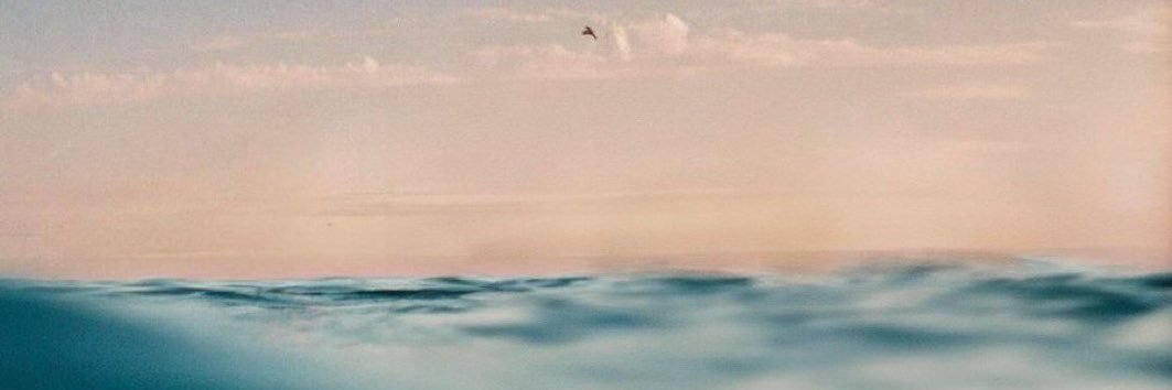 falemateus's profile banner image