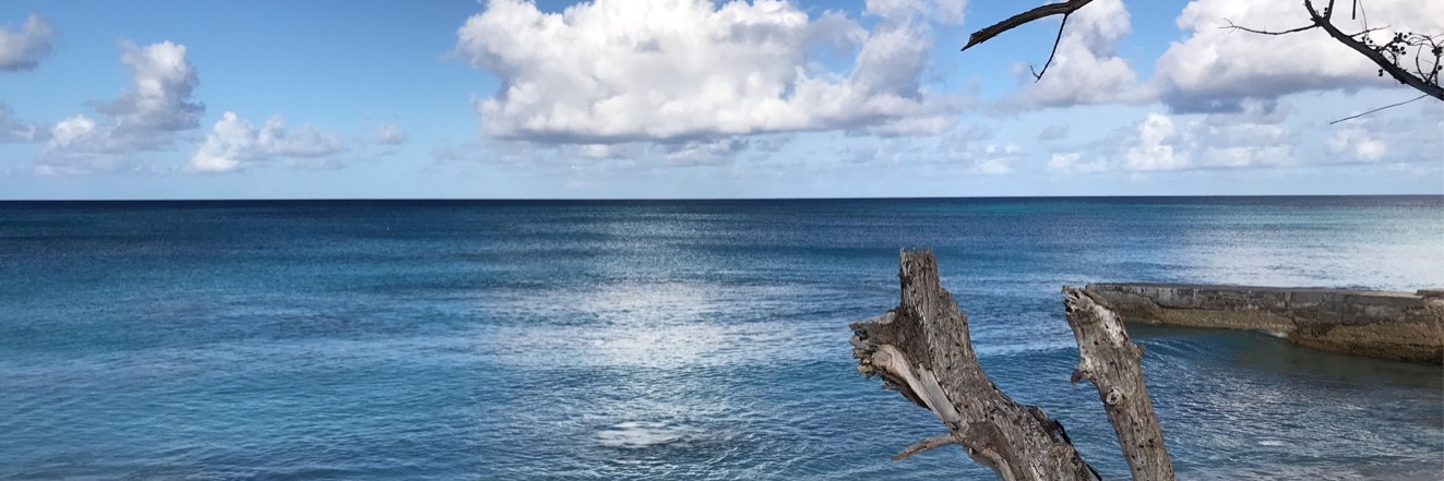 Rab__n's profile banner image
