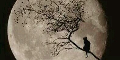citia_b68's profile banner image