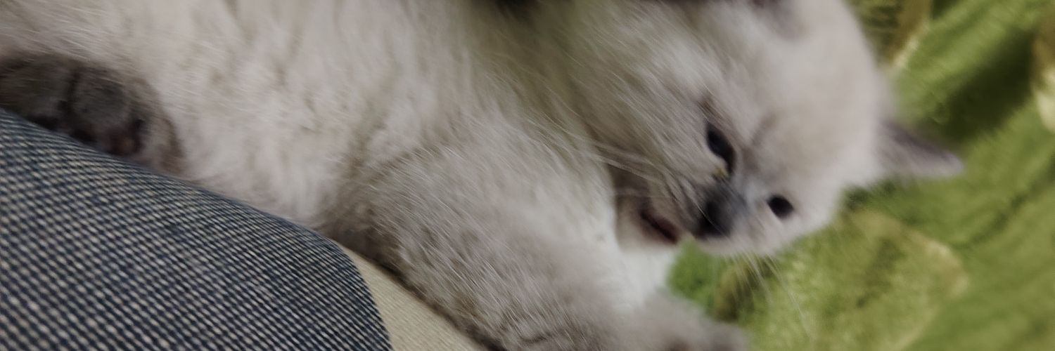 the_local_noOb's profile banner image