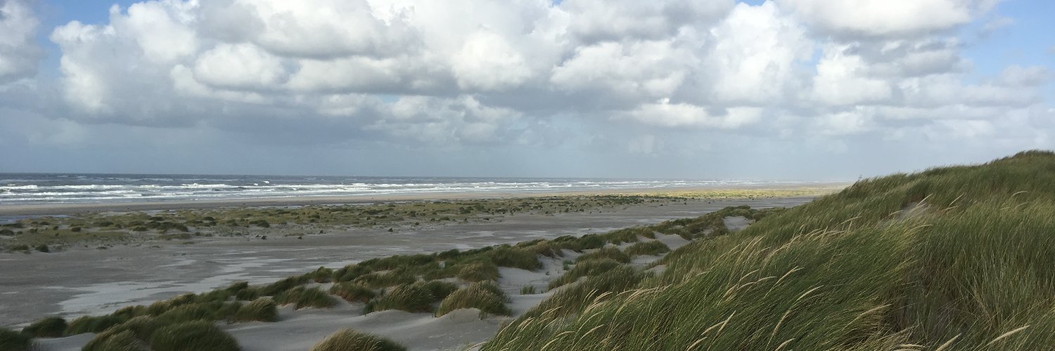 Bastiaan van Rooden banner