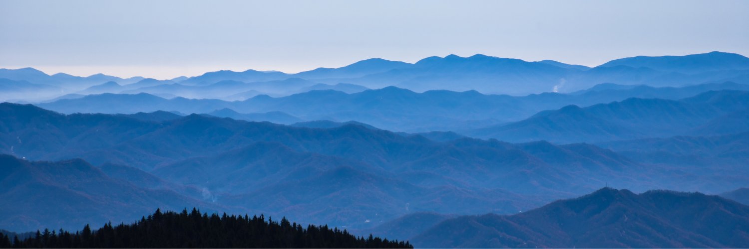 Lisa (she/her/y’all/ma’am) banner