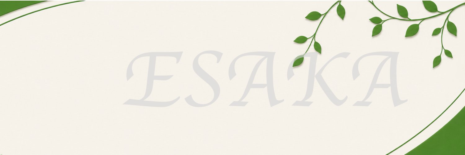 e_sa_ka's profile banner image