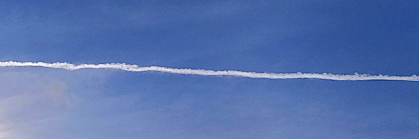 birgittasauer1 Profile Banner