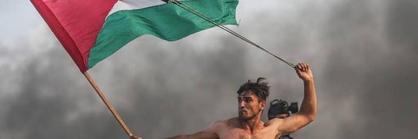 mexobserver Profile Banner