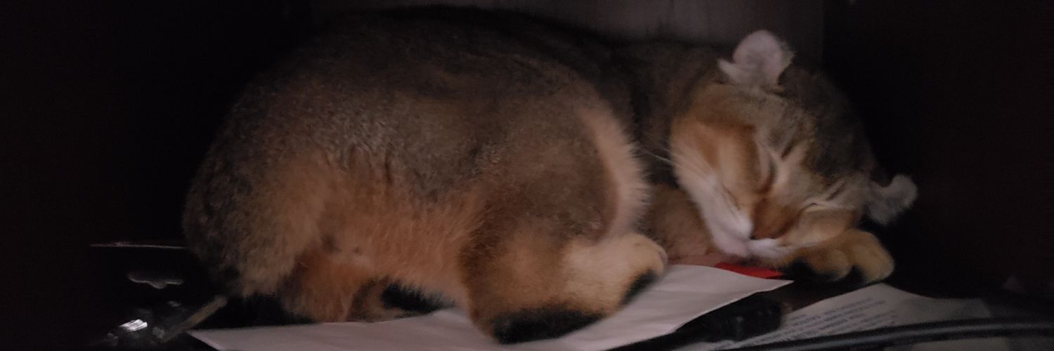 chapscode's profile banner image