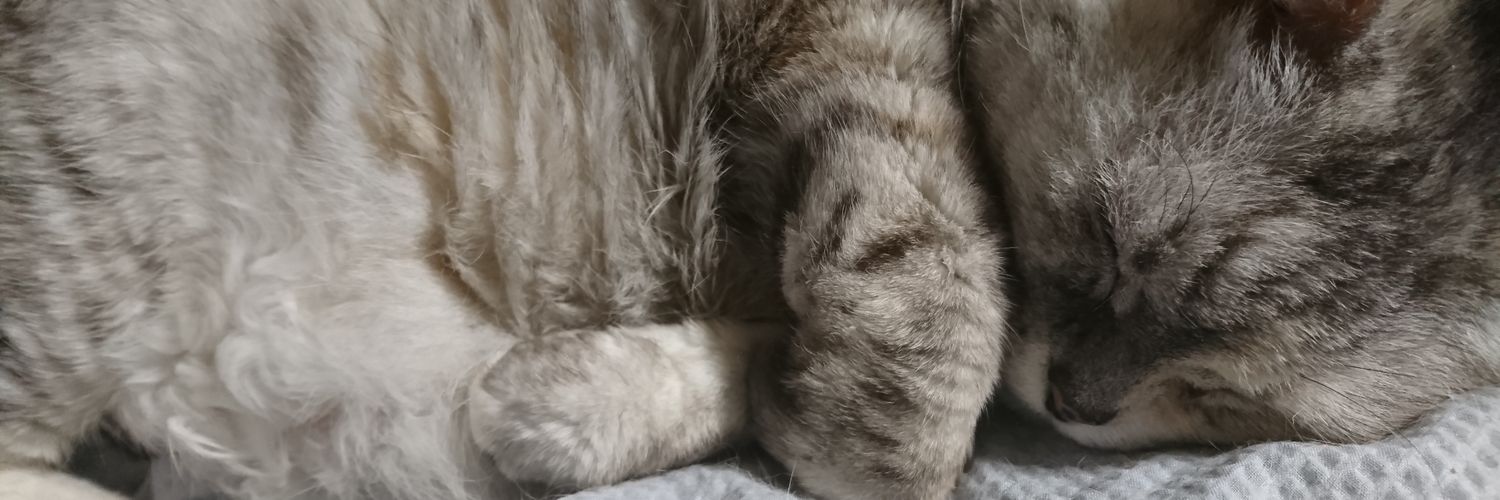 G_adumax's profile banner image