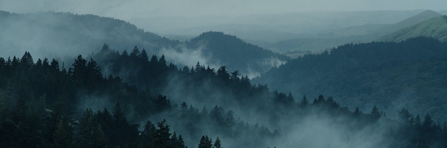 mpiatek's profile banner image