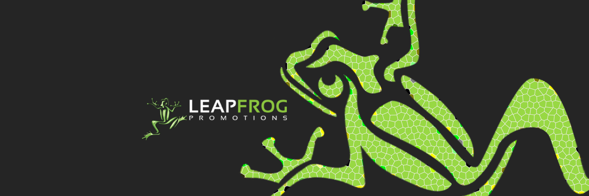 LeapFrogPromos's profile banner image