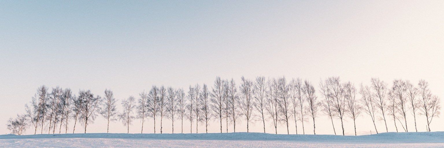 nezukooee's profile banner image