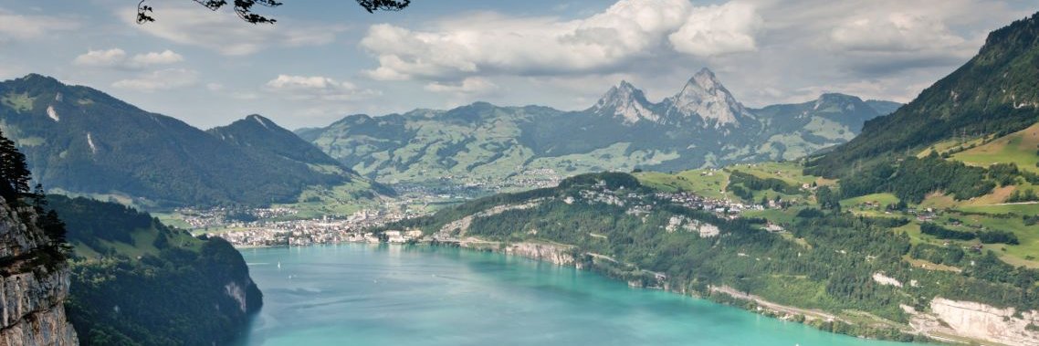 Damian Felchlin banner