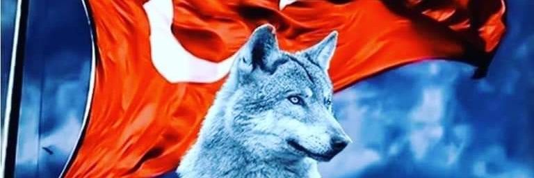 mplt1903's profile banner image