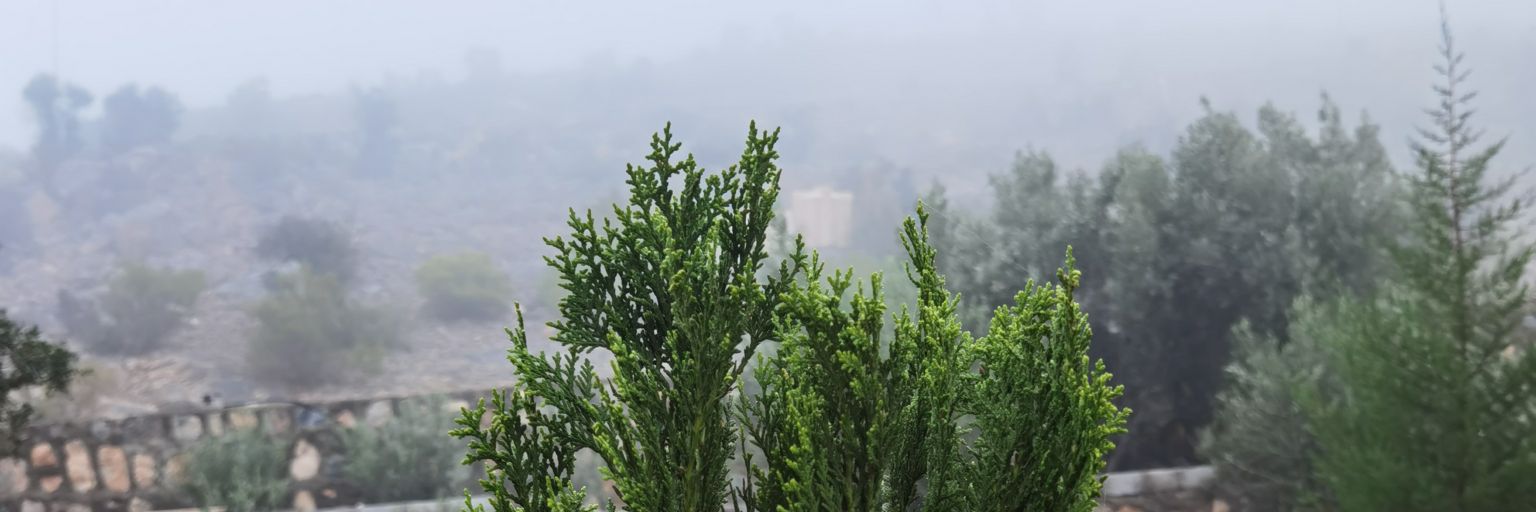 the_smelling's profile banner image