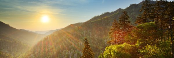 iamjasongraf Profile Banner