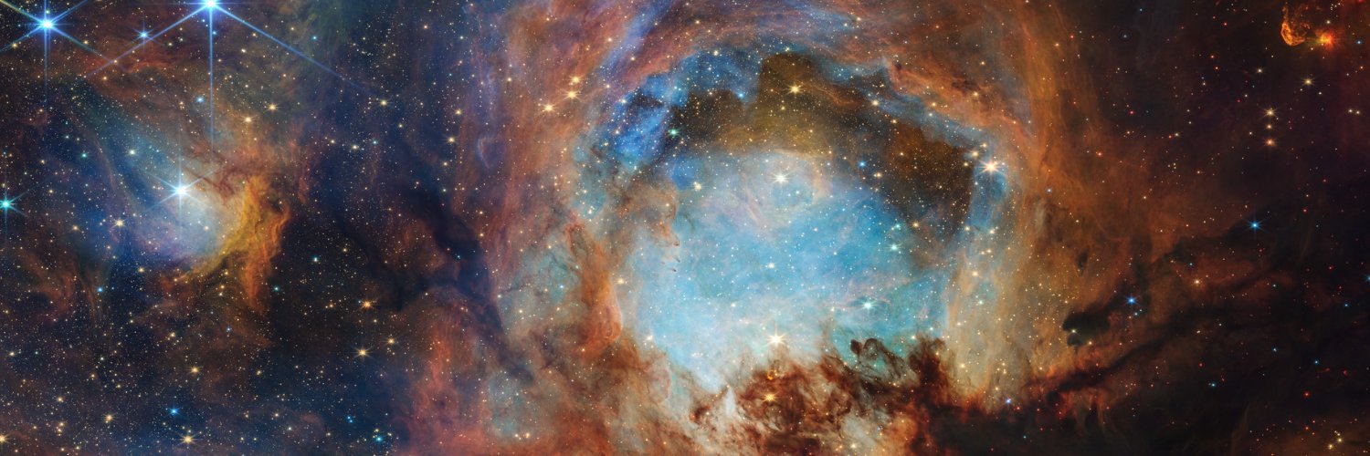 Space Telescope Science Institute's banner