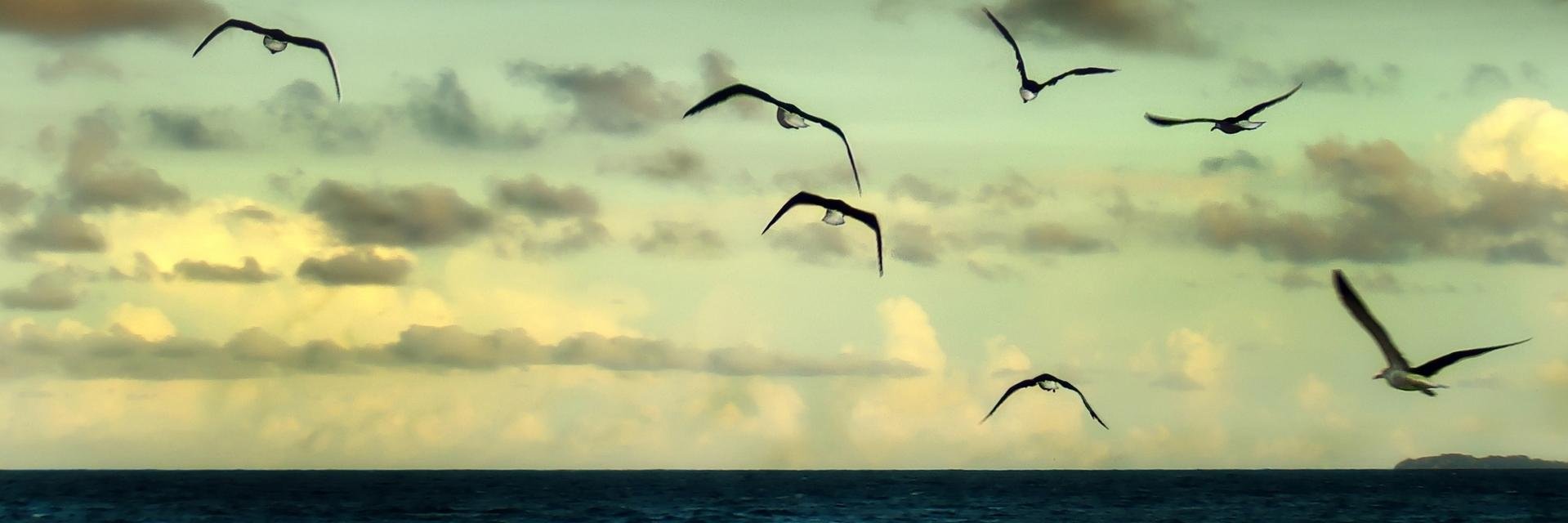 abyh93's profile banner image