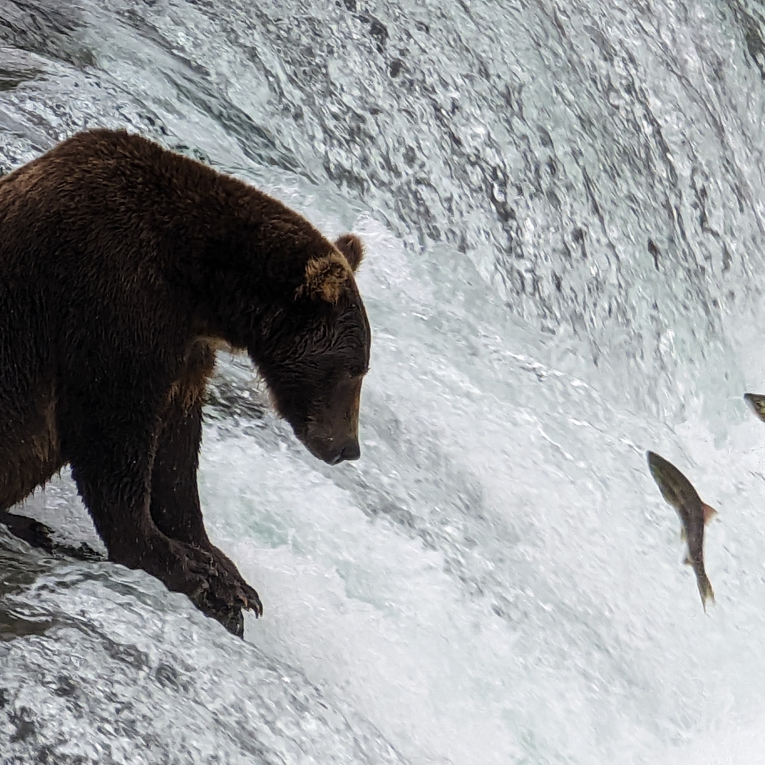 Matt Johnson matthewjohnson.bsky.social banner